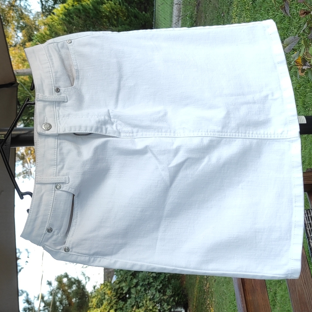 Talbot's skirt size 8P